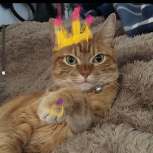 ✨offers accepted💝